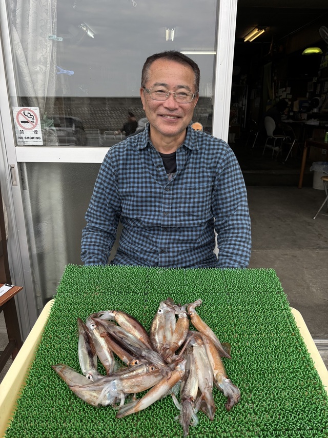 ムギイカ(スルメイカ)