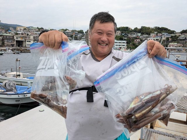 ムギイカ(スルメイカ)