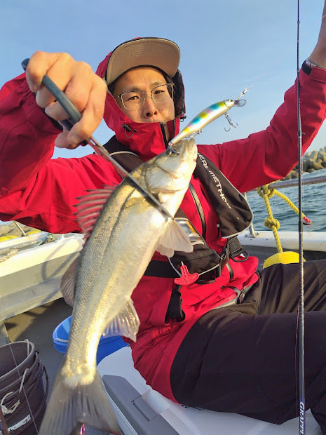 シーバス(スズキ)