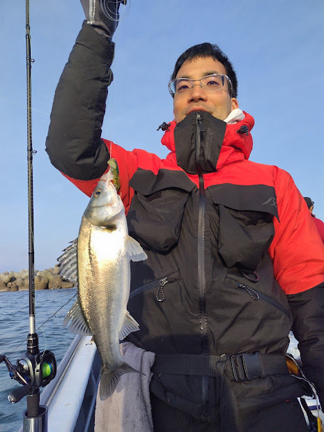 シーバス(スズキ)