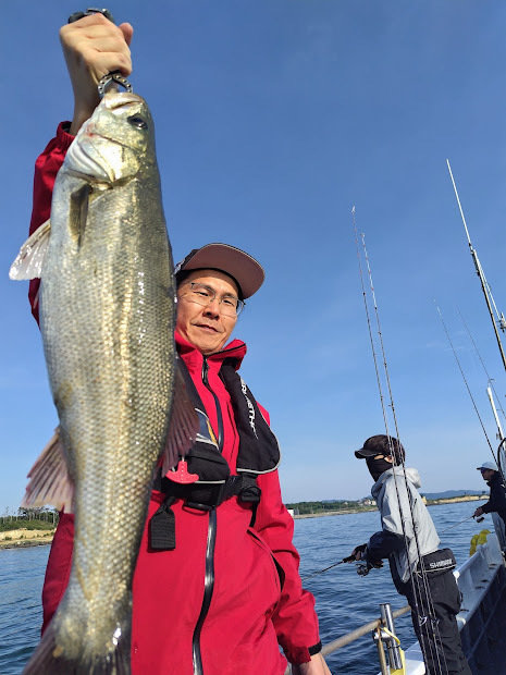 シーバス(スズキ)