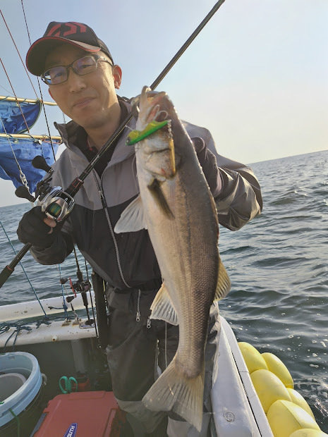 シーバス(スズキ)