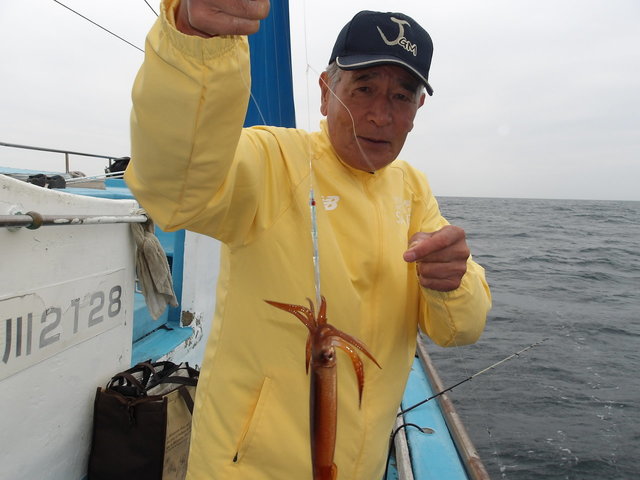 ムギイカ(スルメイカ)