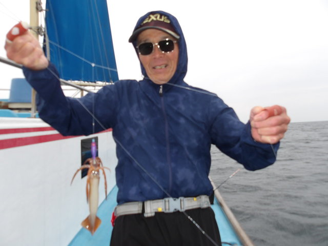 ムギイカ(スルメイカ)