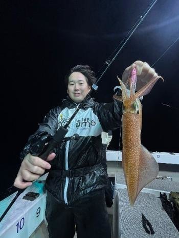 マイカ(ケンサキイカ)