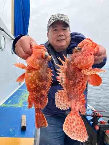 オニカサゴ・カンコ(ウッカリカサゴ)