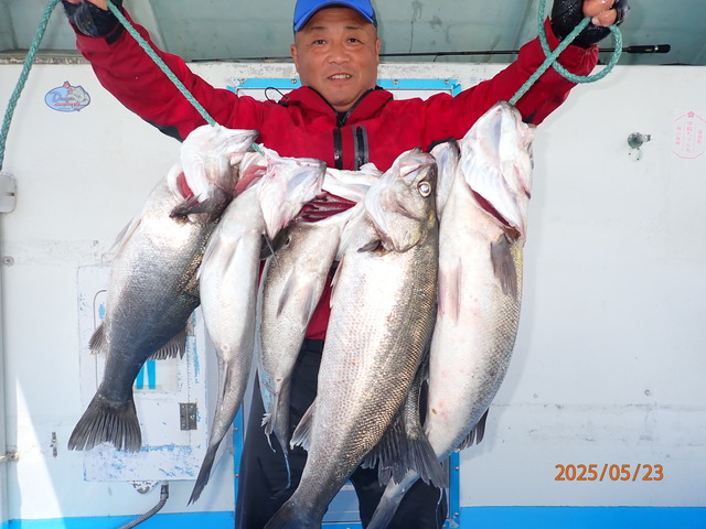 シーバス(スズキ)