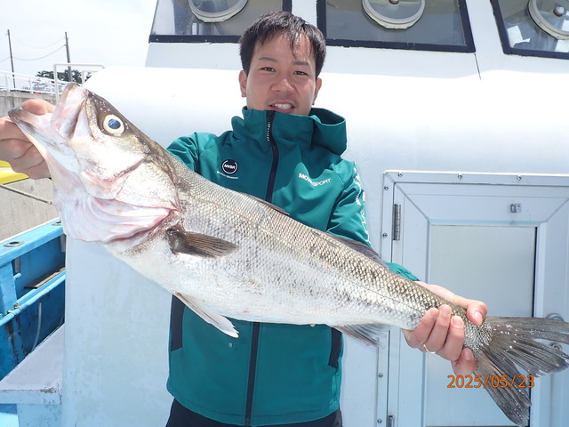 シーバス(スズキ)