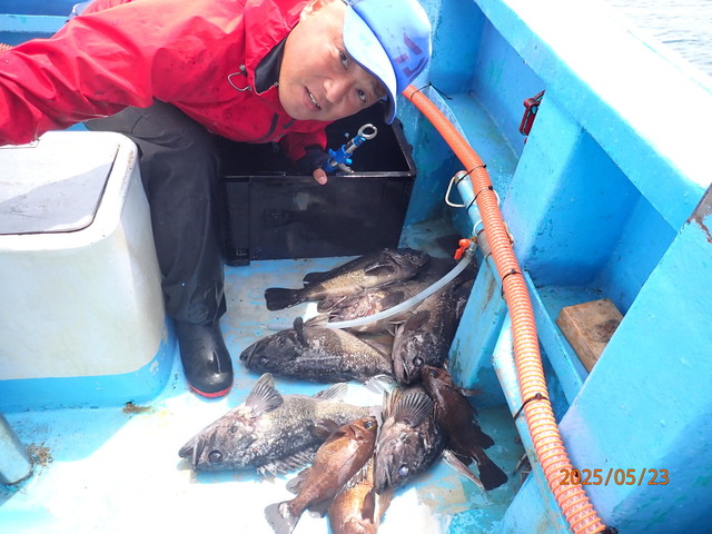 クロソイ・メバル