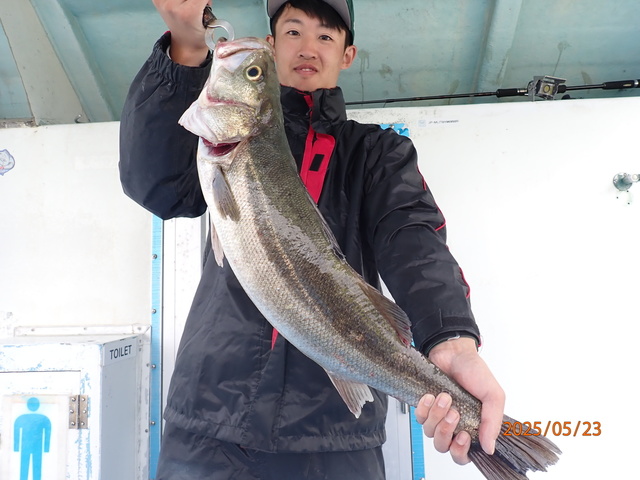 シーバス(スズキ)