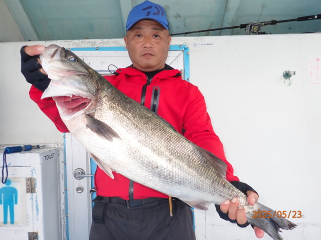 シーバス(スズキ)