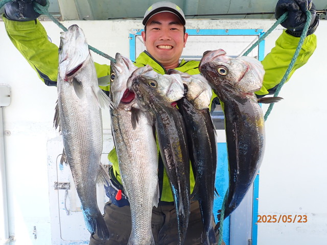 シーバス(スズキ)