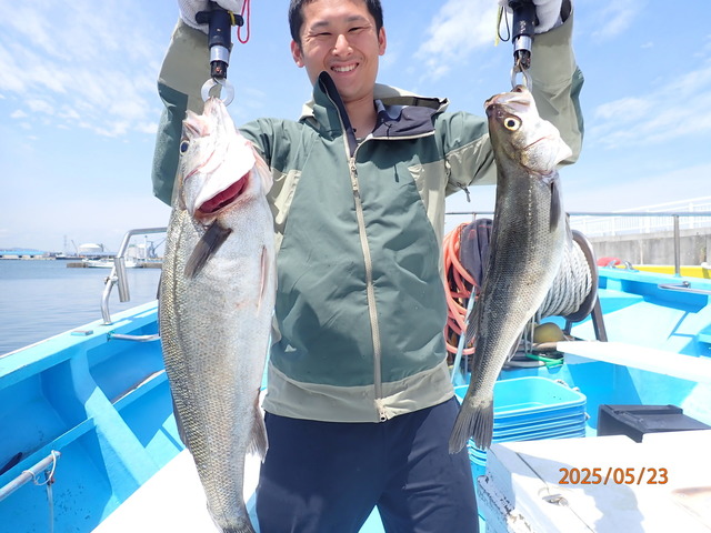 シーバス(スズキ)