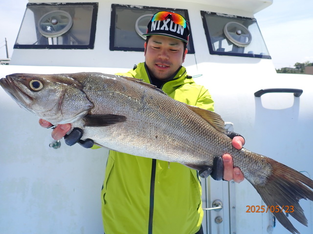 シーバス(スズキ)