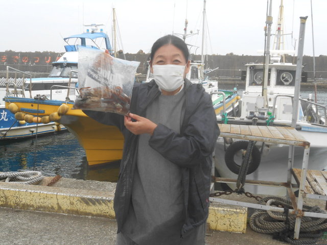 ムギイカ(スルメイカ)