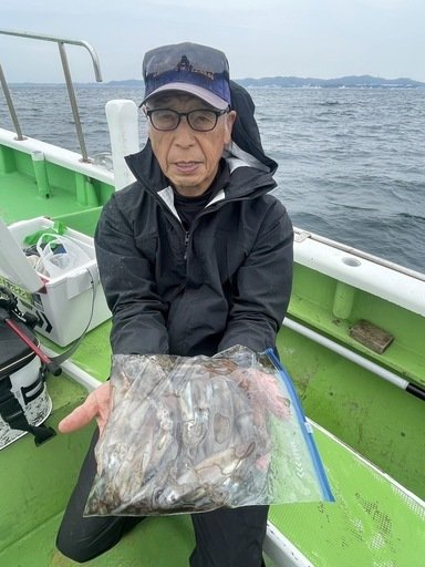 ムギイカ(スルメイカ)