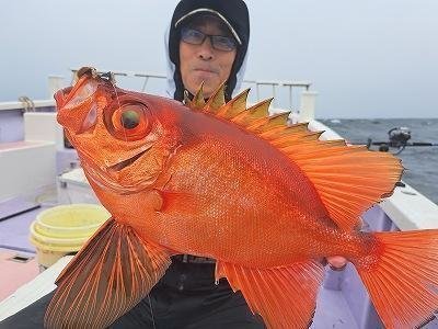 キントキ(チカメキントキ)