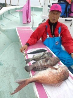 マダイ・クロダイ・マハタ・アジ(マアジ)