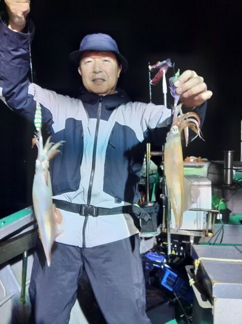 イカ(ヤリイカ)