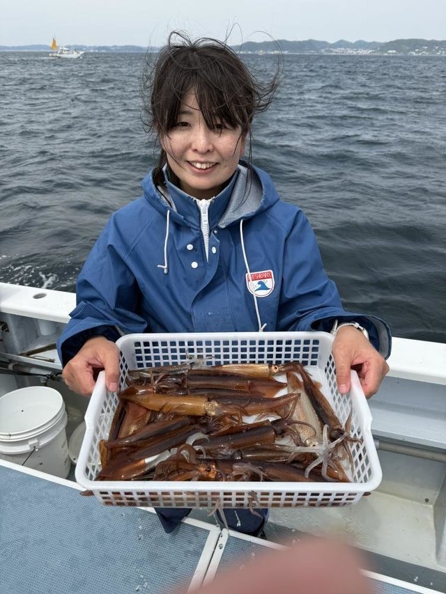 ムギイカ(スルメイカ)