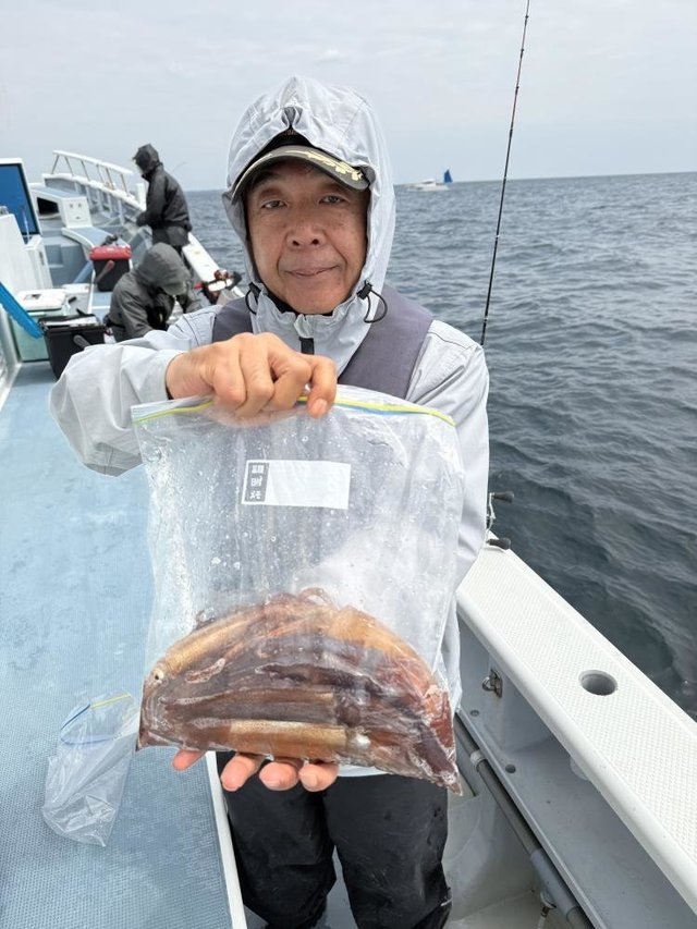 ムギイカ(スルメイカ)