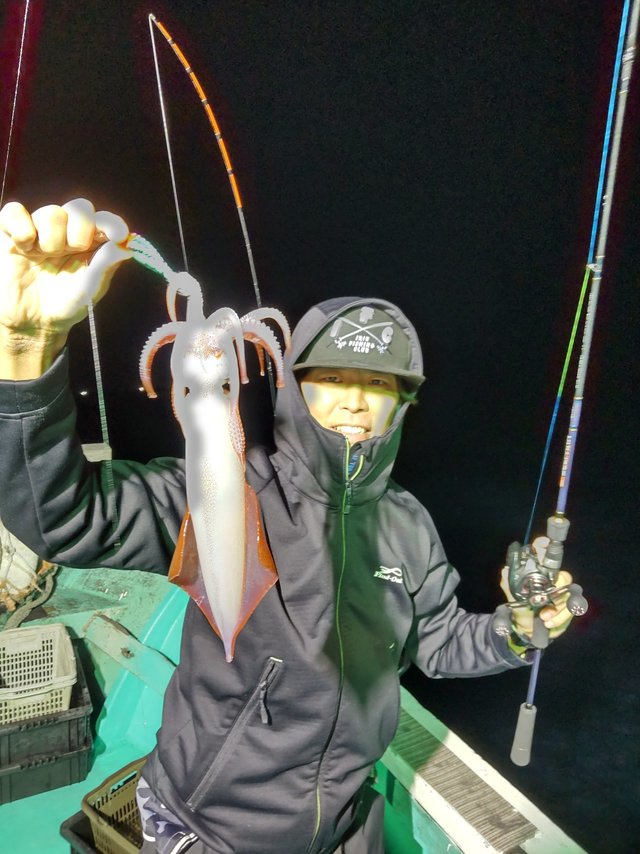 シロイカ(ケンサキイカ)