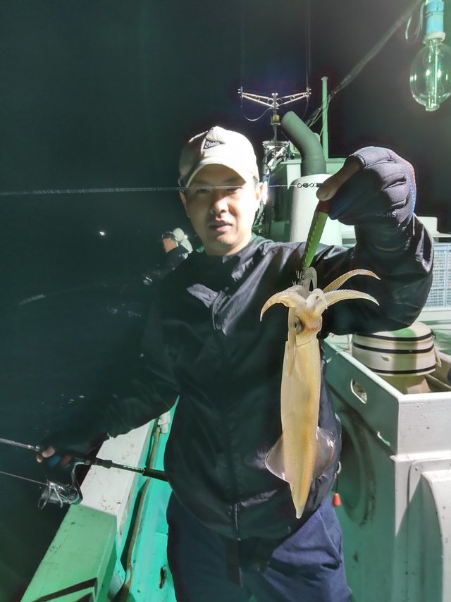 シロイカ(ケンサキイカ)