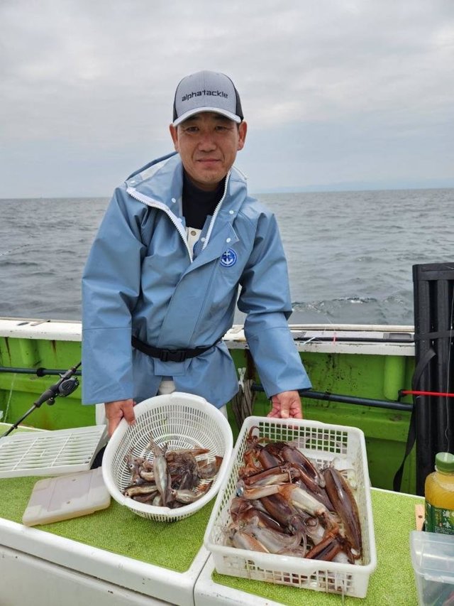 ムギイカ(スルメイカ)