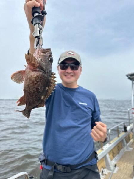 アコウ(キジハタ)