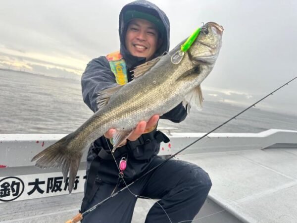 シーバス(スズキ)