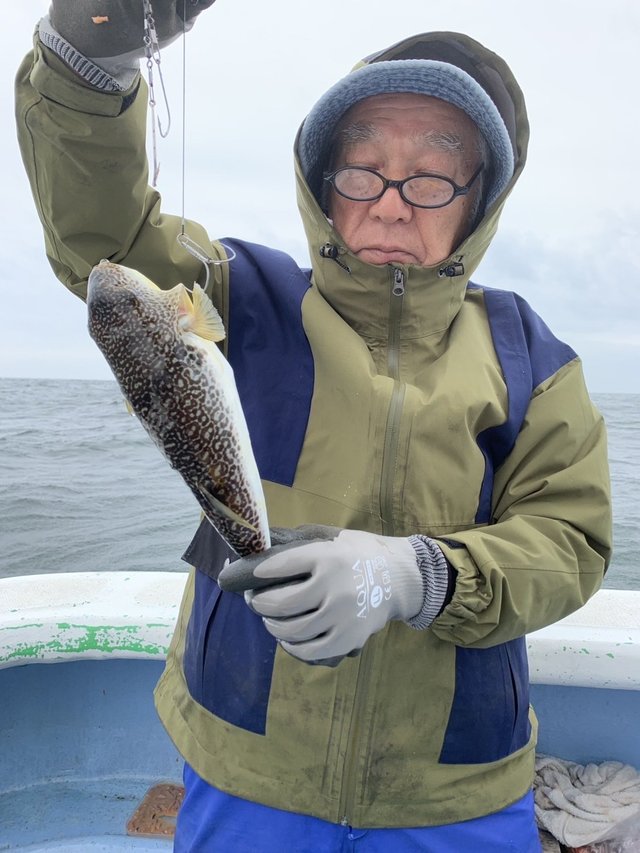 ショウサイフグ