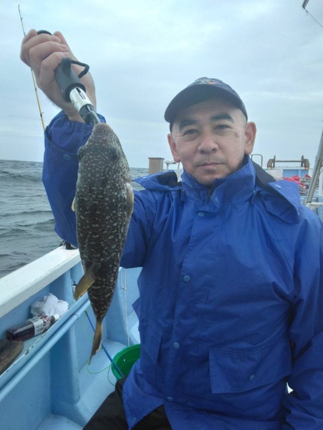 ショウサイフグ