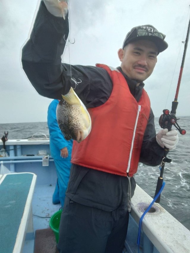 ショウサイフグ