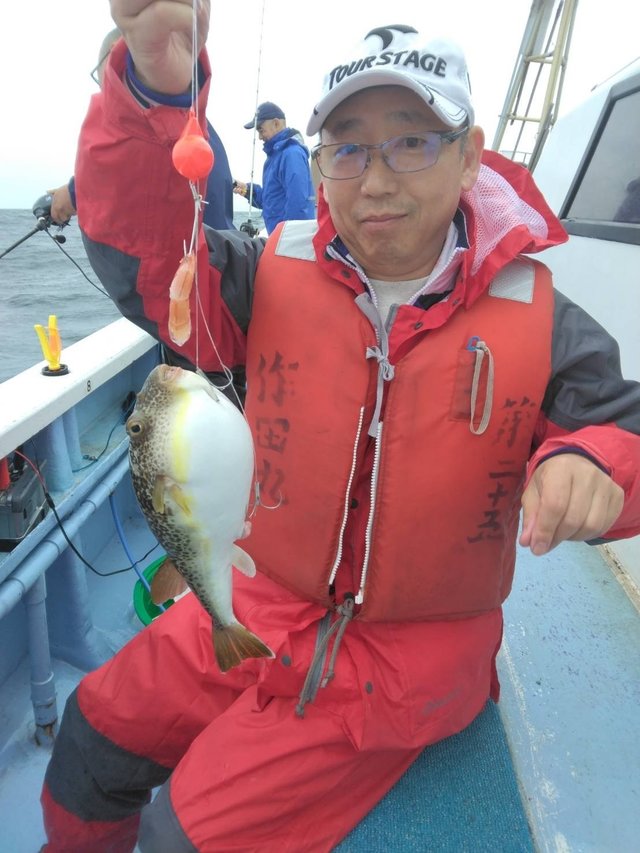 ショウサイフグ