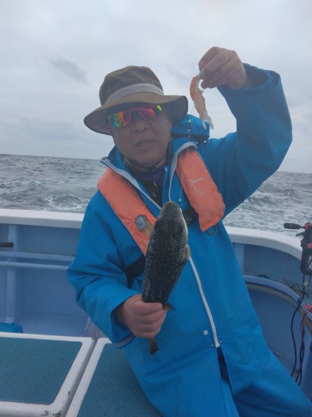 ショウサイフグ