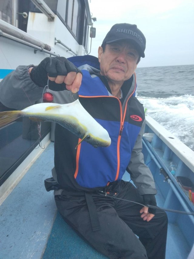 ショウサイフグ