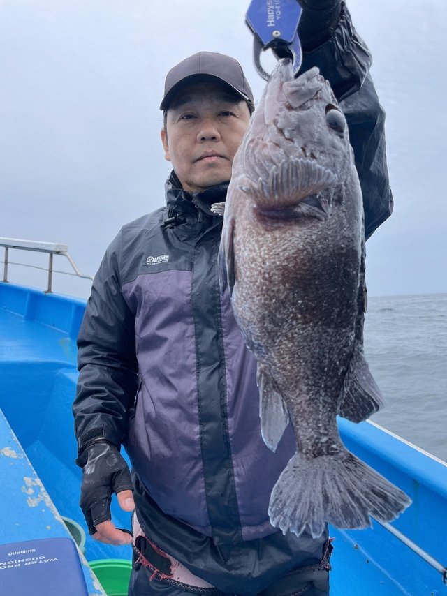 マゾイ(キツネメバル)