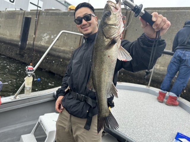 シーバス(スズキ)