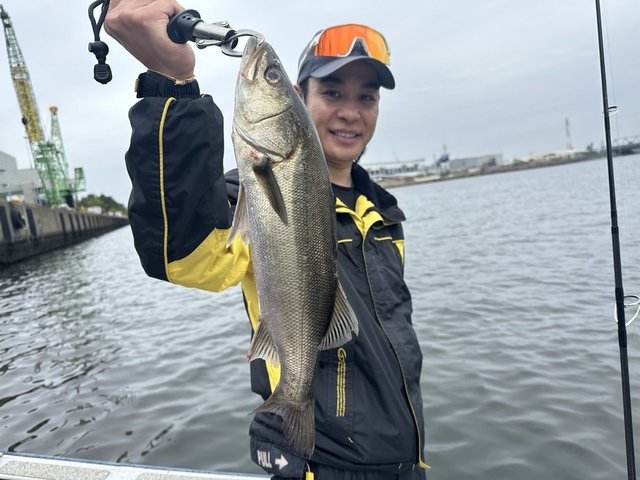 シーバス(スズキ)