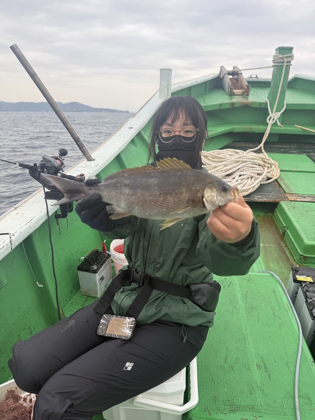 イサギ(イサキ)