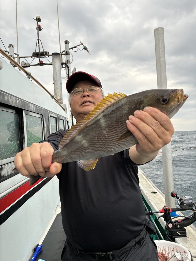 イサギ(イサキ)