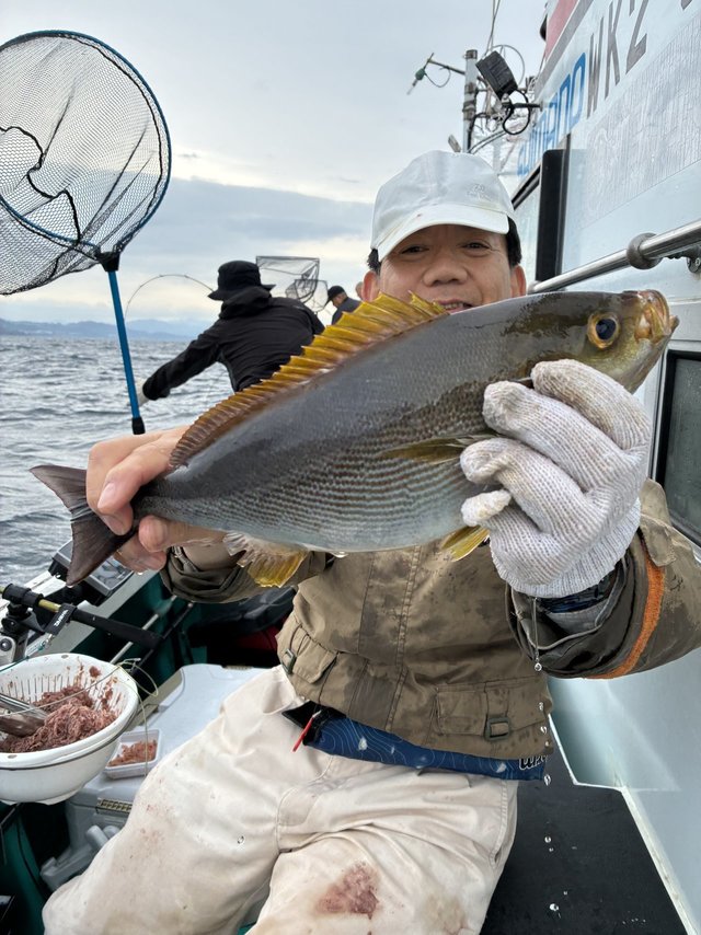 イサギ(イサキ)