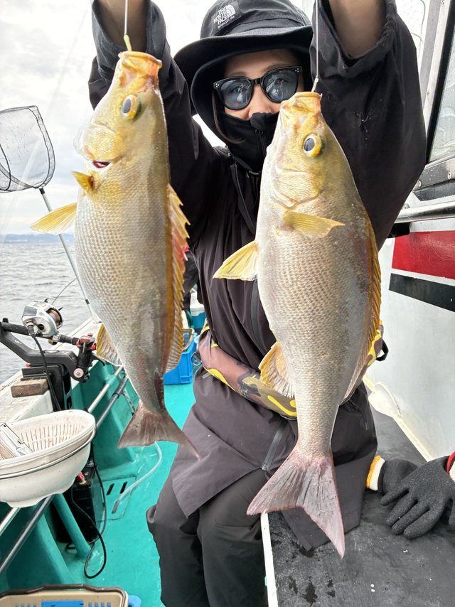 イサギ(イサキ)