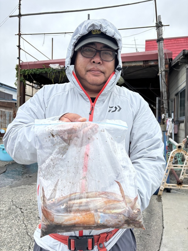 ムギイカ(スルメイカ)