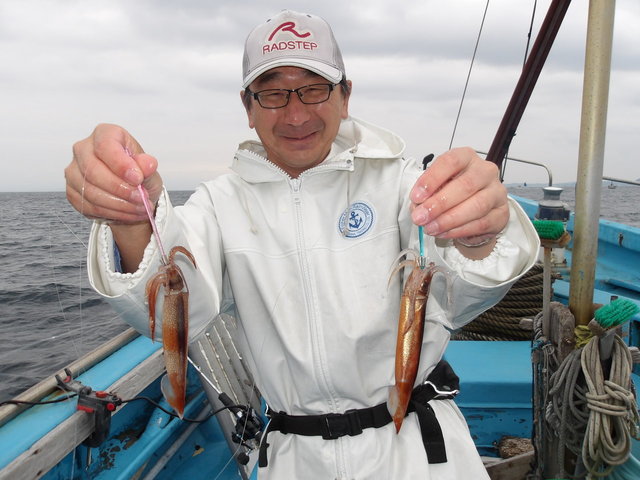 ムギイカ(スルメイカ)