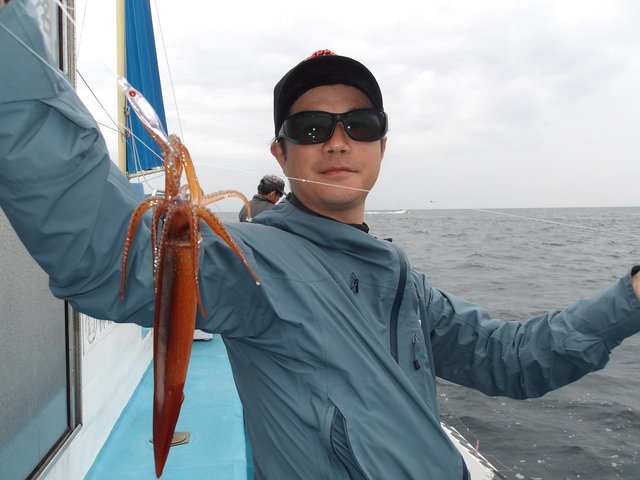 ムギイカ(スルメイカ)