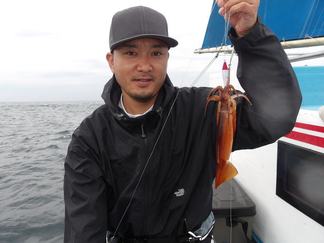 ムギイカ(スルメイカ)