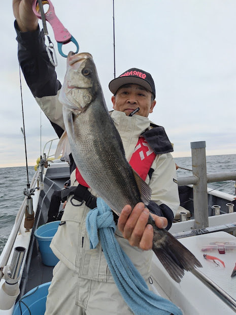 シーバス(スズキ)