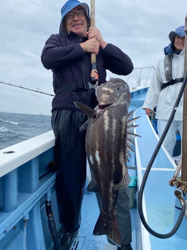 イシナギ(オオクチイシナギ)