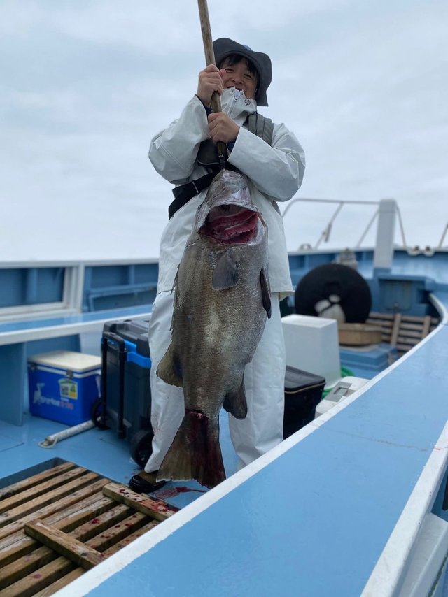 イシナギ(オオクチイシナギ)